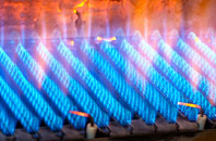 Brynsworthy gas fired boilers